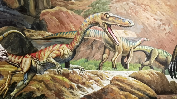 Yunyang Dinosaur Museum