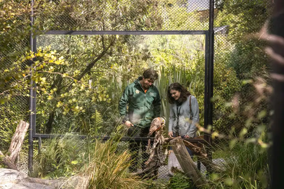 4_Kiwi Park Queenstown