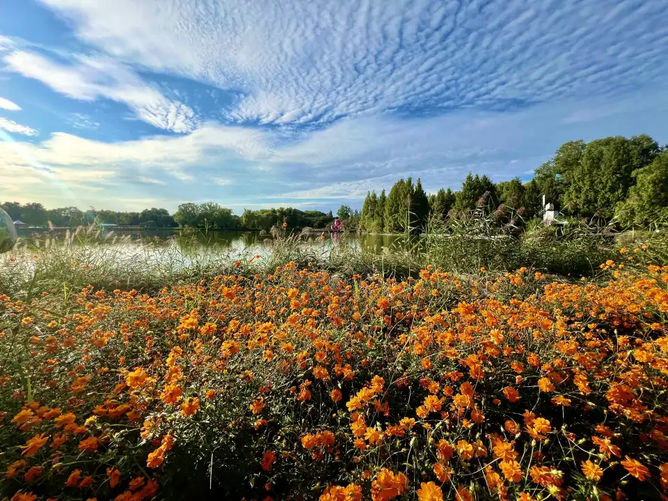 2_Beijing International Flower Port