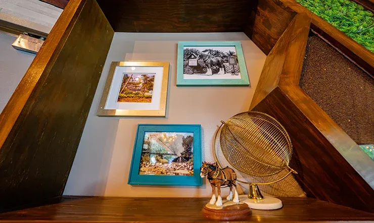 5_Busch Gardens Tampa Bay