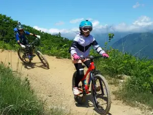 Hakuba Iwatake Mountain Resort