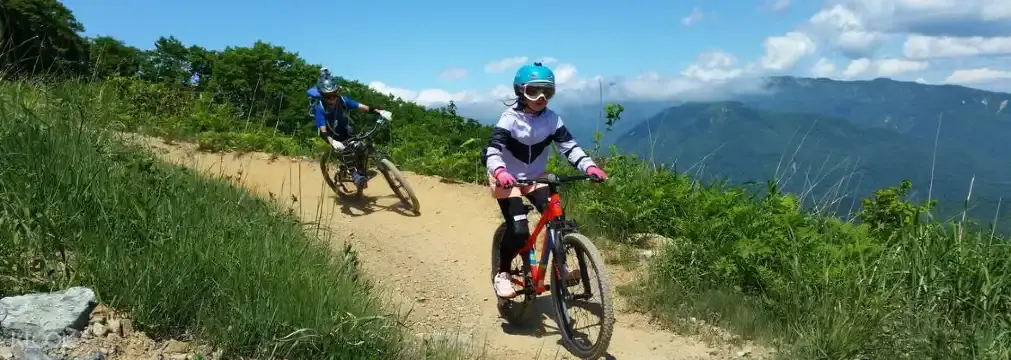 Hotels near Hakuba Iwatake Mountain Resort