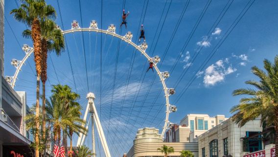 Fly LINQ Zipline