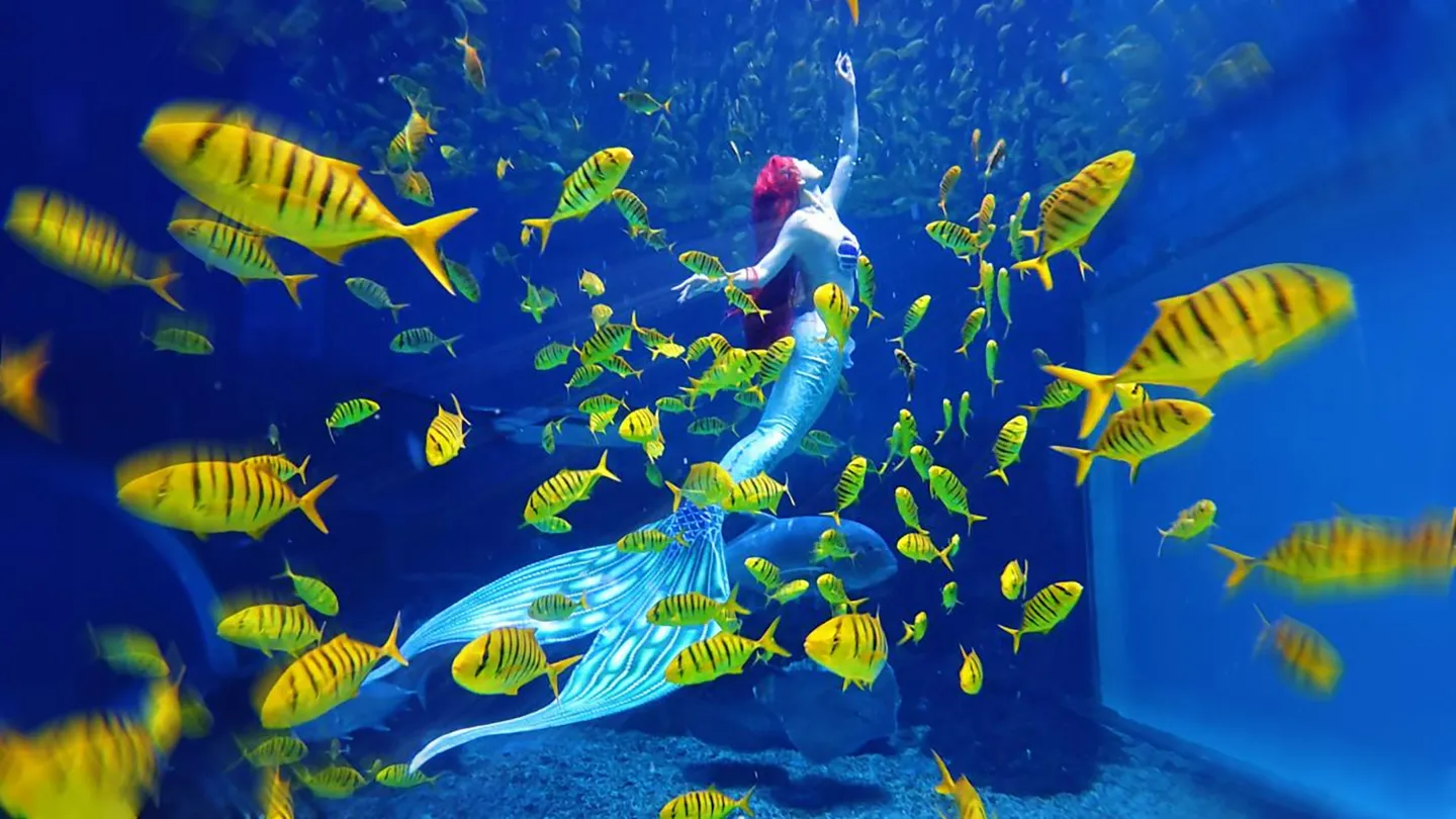 2_Xi An Huaxia Cultural Travel Ocean Park