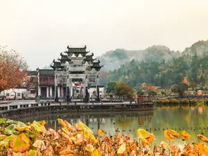서체(시디춘)