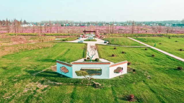 Peach Blossom Viewing in Yangzhou