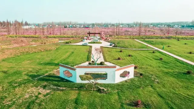 Peach Blossom Viewing in Yangzhou