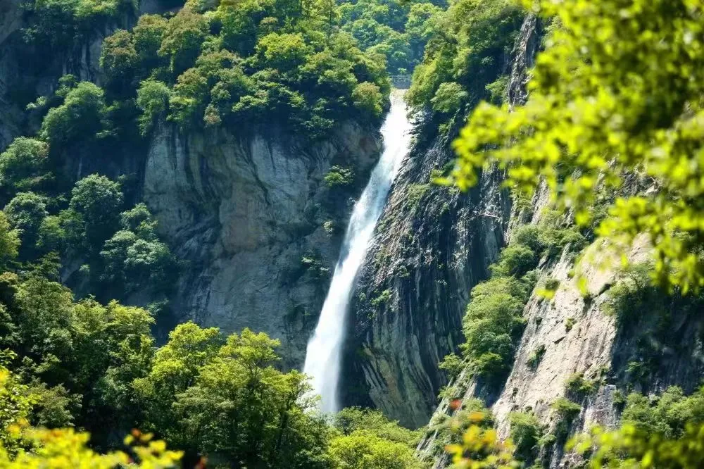 1_太平國家森林公園