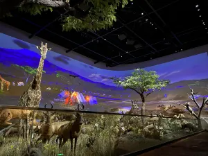 Kangbashi Natural Museum