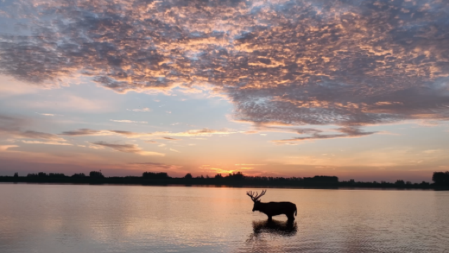 tian e zhou mi lu yuan