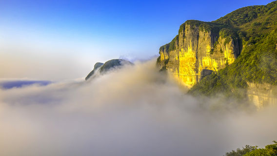 Gold Buddha Mountain