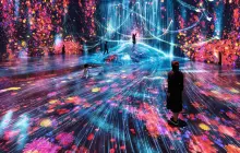 teamLab Borderless: MORI Building DIGITAL ART MUSEUM