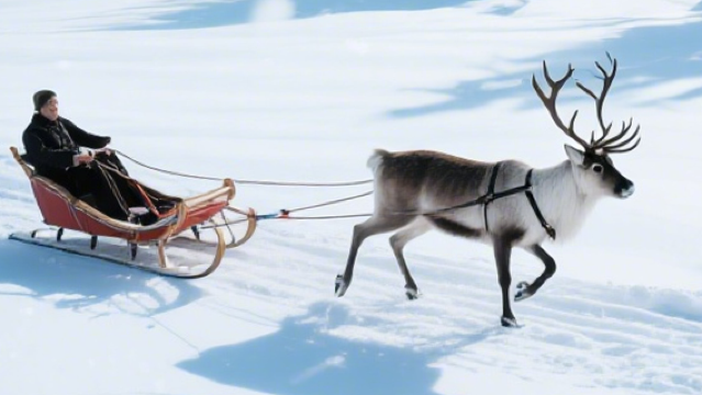 Daqing Ice Age Mammoth Park