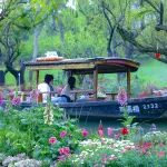西溪國家濕地公園