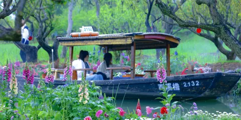 西溪國家濕地公園門票成人