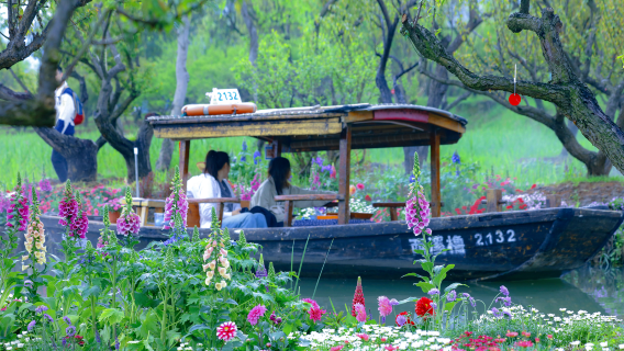 Xixi National Wetland Park