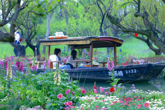 西溪國家濕地公園