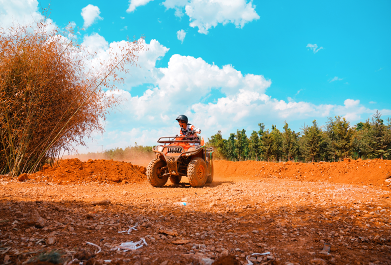 Popular Fall Viewing Attractions in Mile