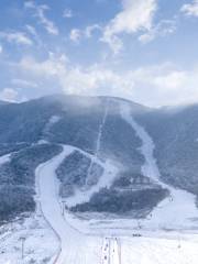 鼇山滑雪度假區