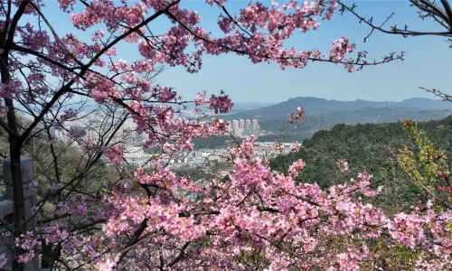 Wangxianling Scenic Tourist Area