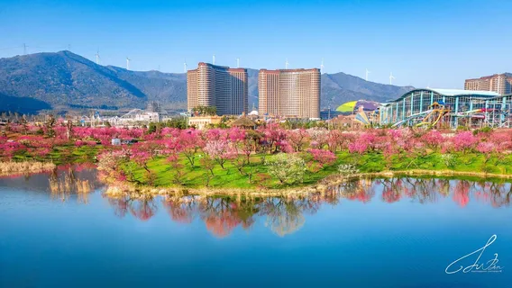 龍之夢東方盆景園