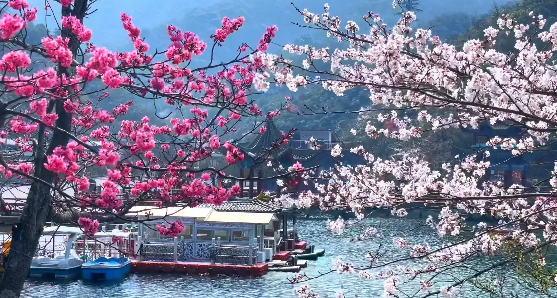 2_陽明山國家森林公園