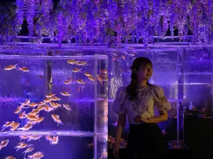 ART AQUARIUM MUSEUM