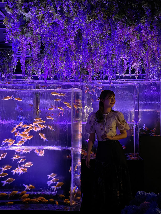 ART AQUARIUM MUSEUM | Ginza