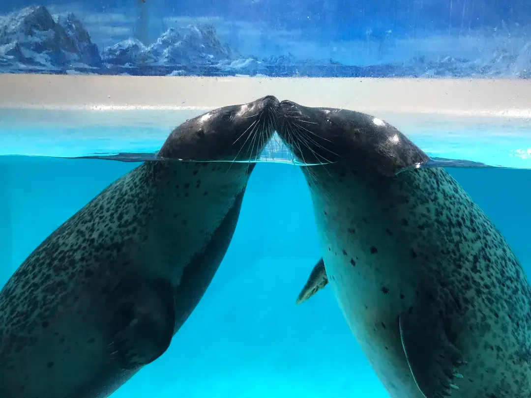 2_下田海中水族館
