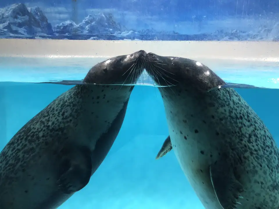 2_下田海中水族館