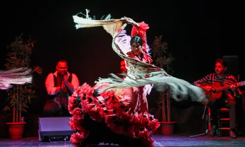 Flamenco City Hall Theatre - Barcelona