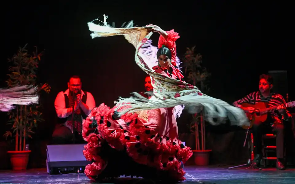 5_Flamenco City Hall Theatre - Barcelona