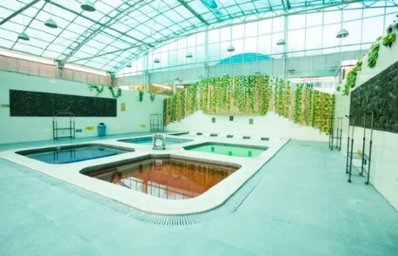 羅浮山會議中心温泉門票成人