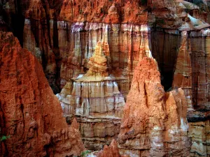 Yuanmou Earth and Forest Scenic Resort