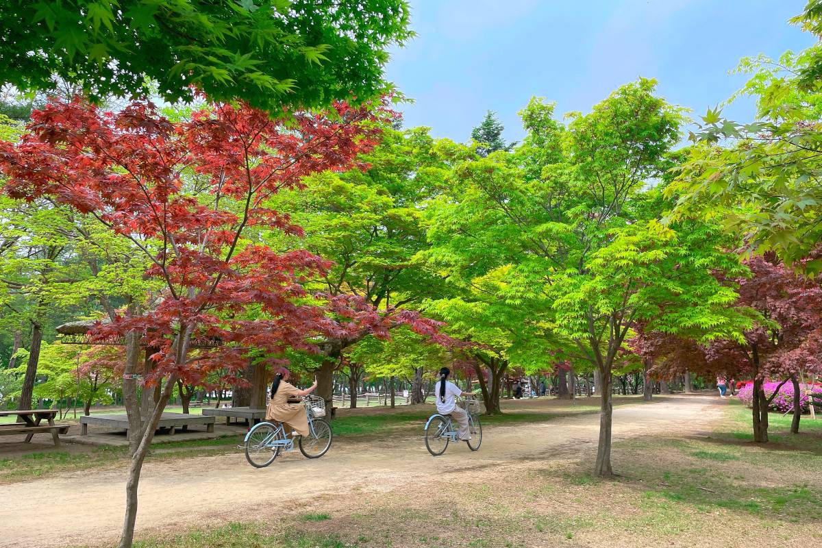 남이섬 볼거리 포토 스팟