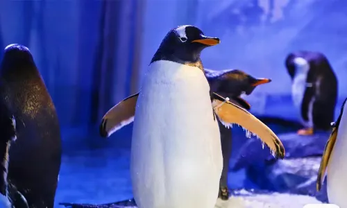 Ocean World