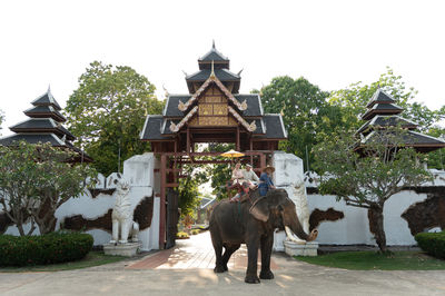Thaithani Cultural Village & Elephant Pattaya