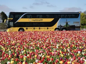 Keukenhof