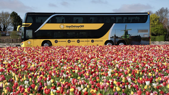 Keukenhof
