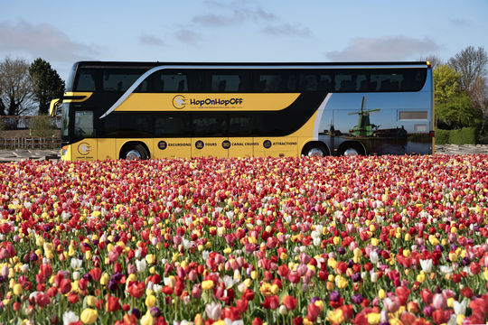 Taman Bunga Keukenhof