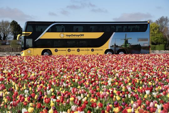 Taman Bunga Keukenhof