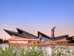 Yancheng Wetland National Nature Reserve Rare Birds