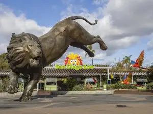 サン・ディエゴ動物園