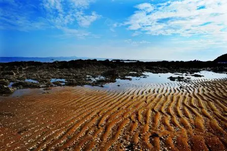 Beachcombing in Dalian