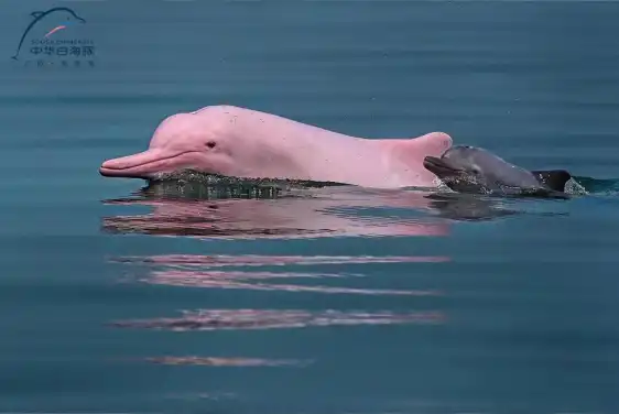 Hoteles cerca de Sanniang Bay