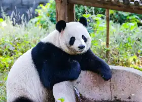 安吉竹博園