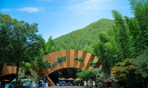 Tianmu Lake Nanshan Bamboo Sea Scenic Spot