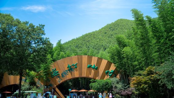 Tianmu Lake Nanshan Bamboo Sea Scenic Spot