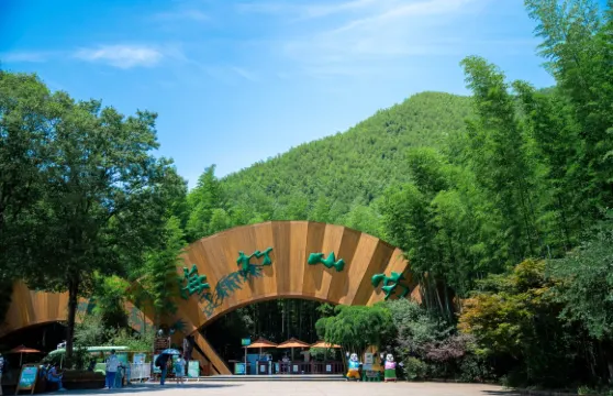 天目湖南山竹海景區門票+雙程（熊貓地軌+架空索道）成人