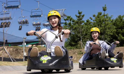 Skyline Luge Busan